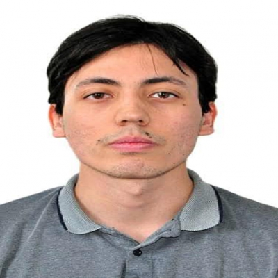 visffor290013