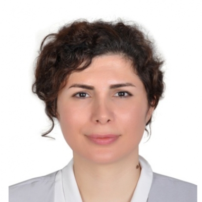 visffor263732