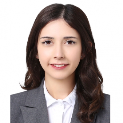 visffor26236